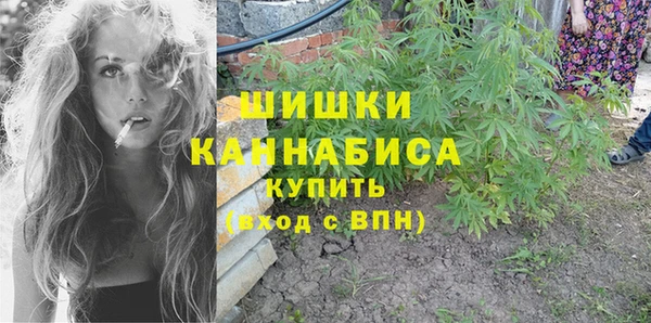 Альфа ПВП Вязьма
